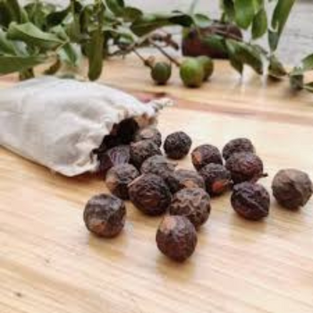 Soap Nut (Whole Reetha)